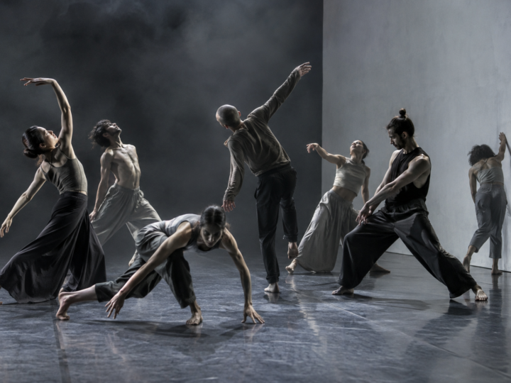 Ensamble de danza contemporánea en movimiento frente a un escenario gris minimalista